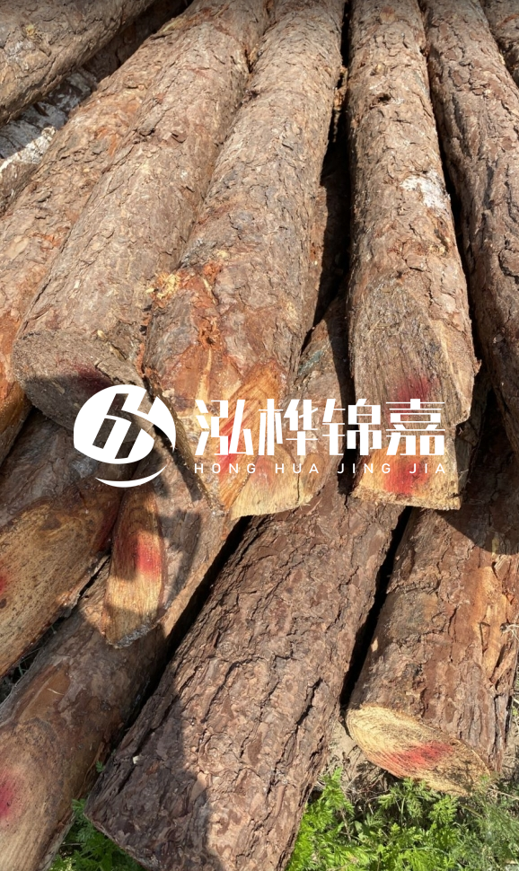 <strong>松木樁和杉木樁的用途區(qū)別？哪個(gè)更適合打樁用？</strong>