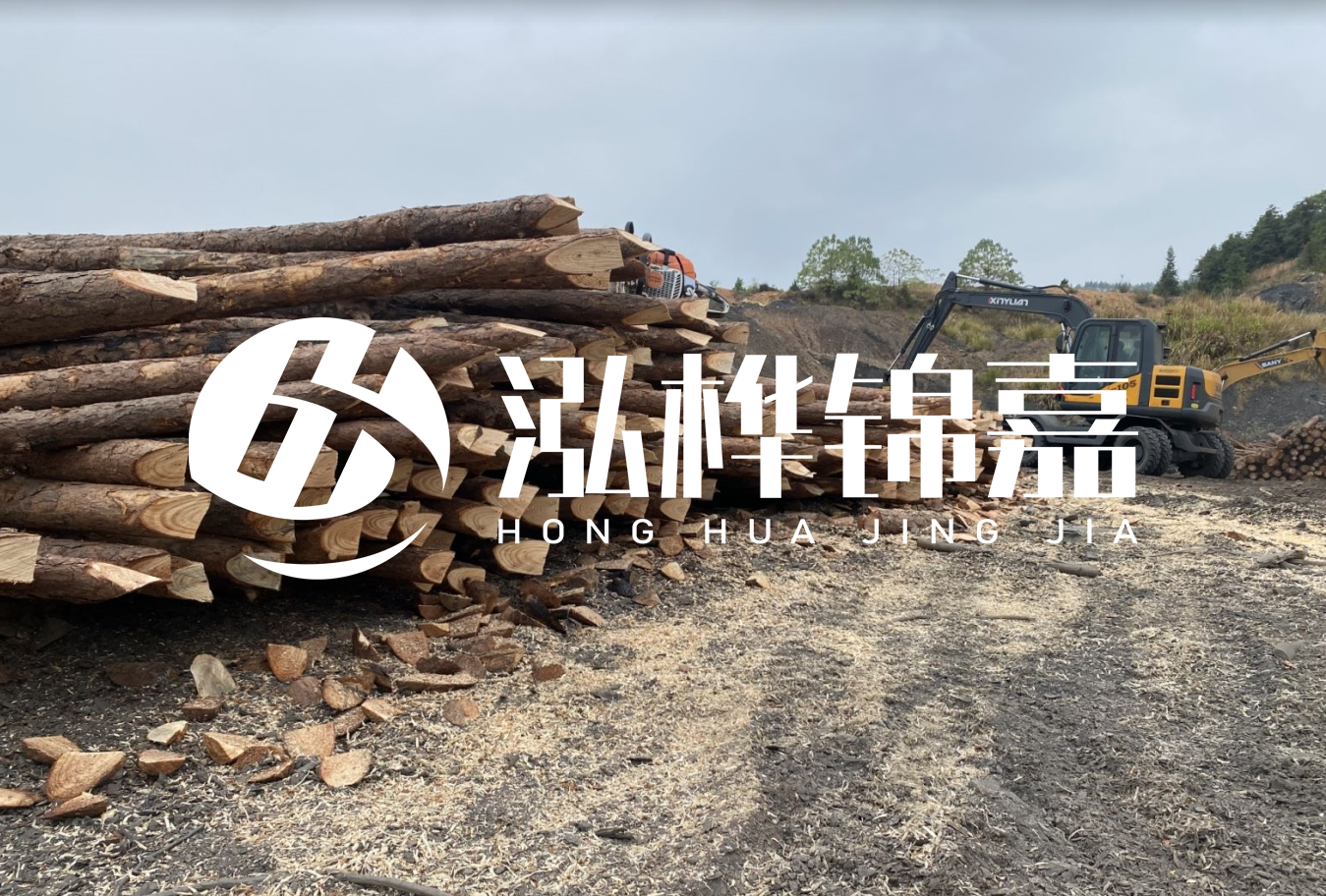 松木樁尾徑是什么意思？