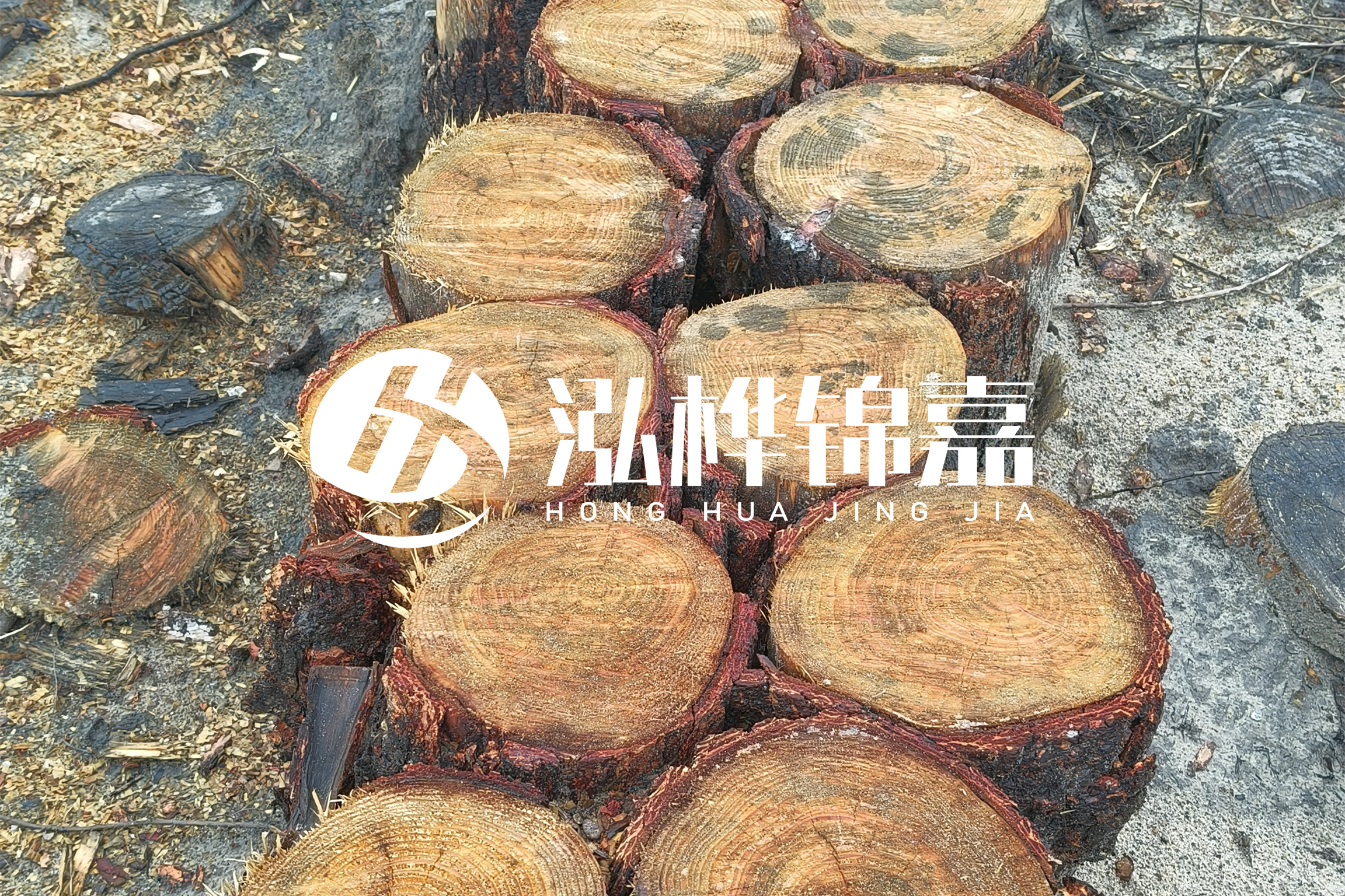浙江臺州有清淤的公司嗎？浙江臺州有清淤施工隊(duì)嗎？