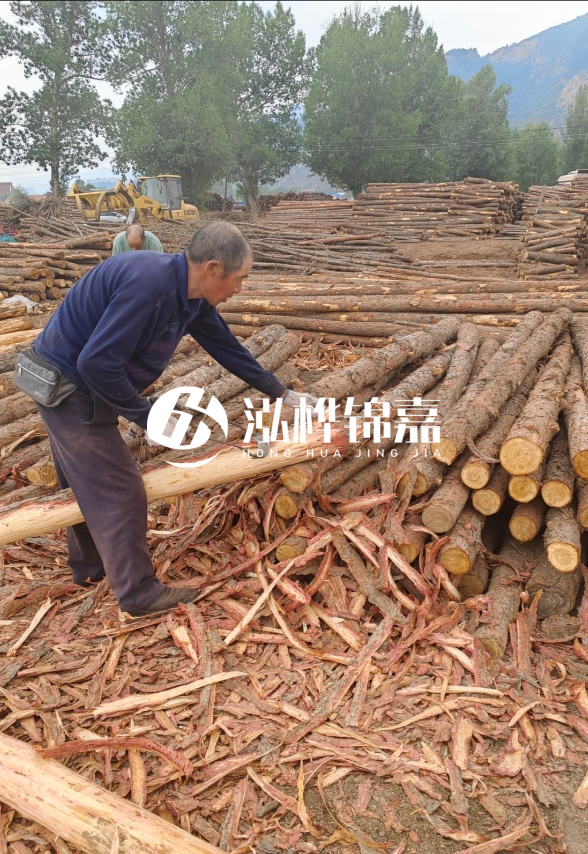 東營河道清淤專業(yè)施工隊-不同型號挖機清淤能力對比？