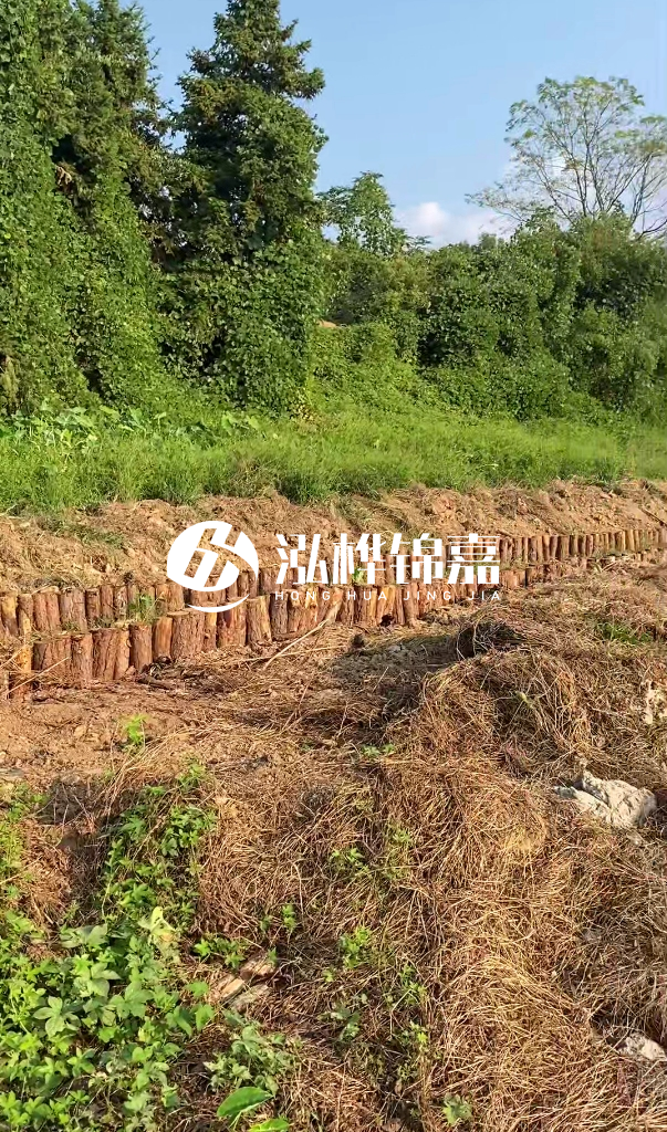 許昌河道清淤專(zhuān)業(yè)施工-河道污水治理要多長(zhǎng)時(shí)間？