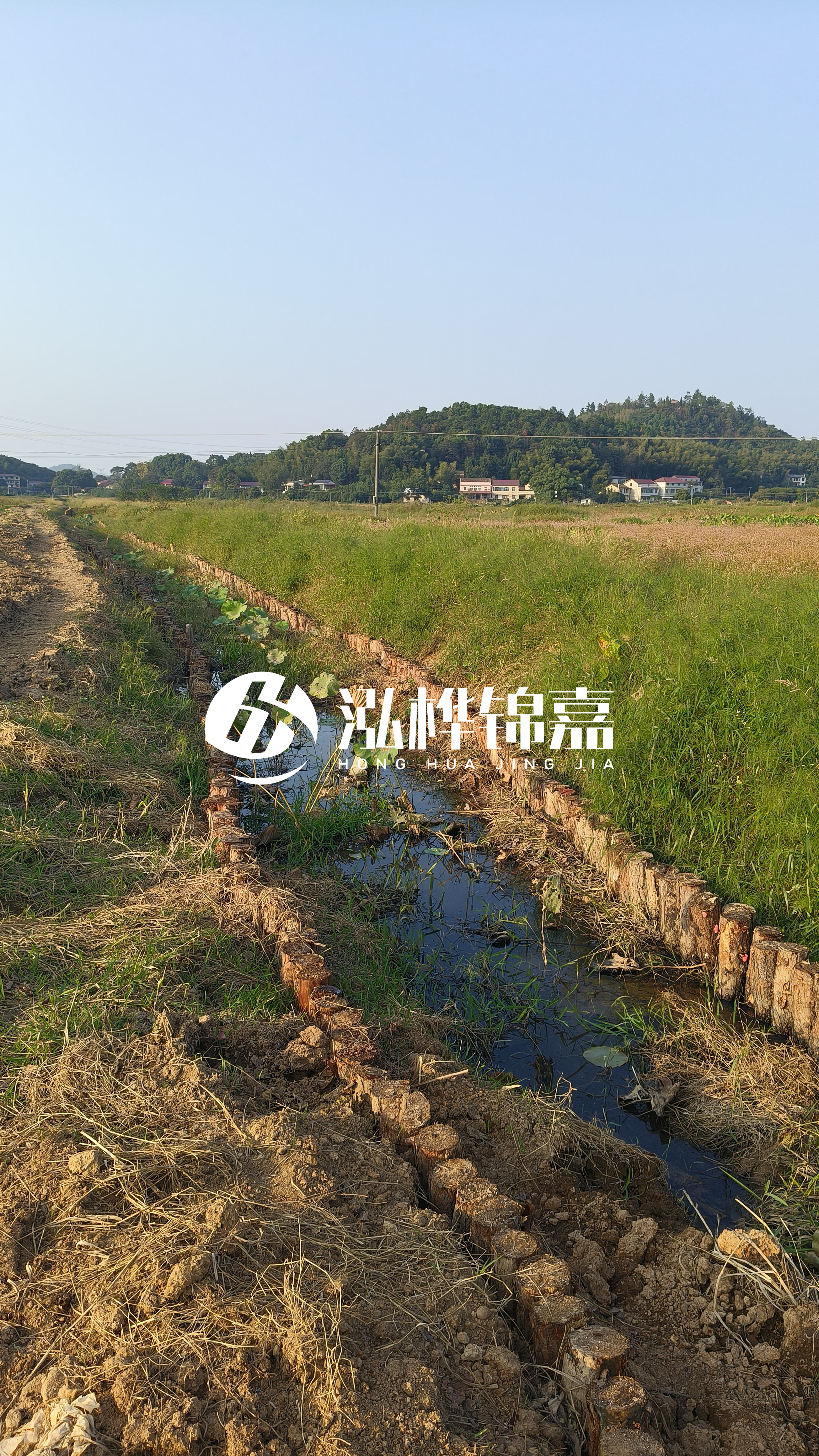 河道護(hù)坡打木樁的目的全解析：你知道幾個(gè)？