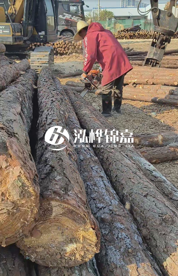 長沙打樁木批發(fā)廠家在哪里？聯(lián)系方式是什么？