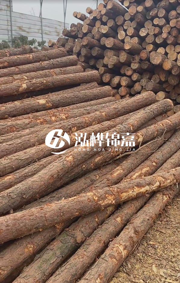 山西河道木樁護(hù)岸價(jià)格多少錢一米-每米河道打樁要花多少錢？