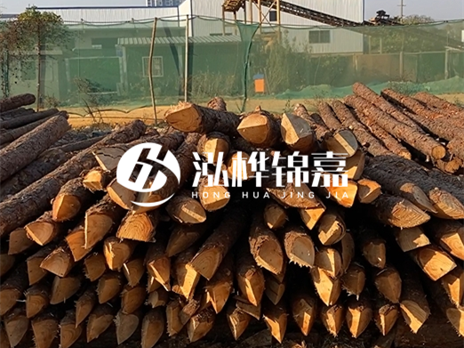 松木樁6米15cm打樁多少錢一根-專業(yè)打木樁隊聯(lián)系電話？
