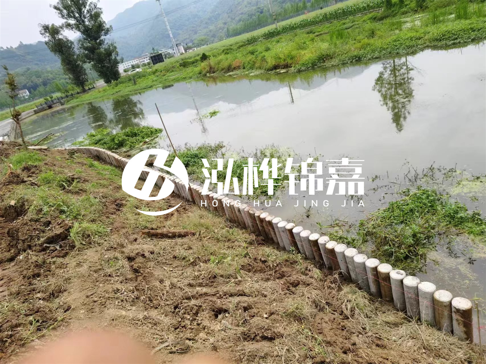 松木樁加固河道與水泥樁對(duì)比如何？哪一種更加適合您？