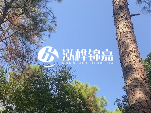 松木樁廠家泓樺錦嘉可以實地考察嗎？需要提前預約嗎？