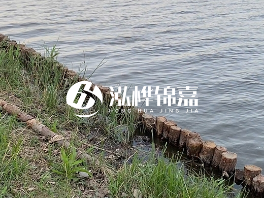 防洪松木樁施工重要性？河道打木樁的位置怎么確定？