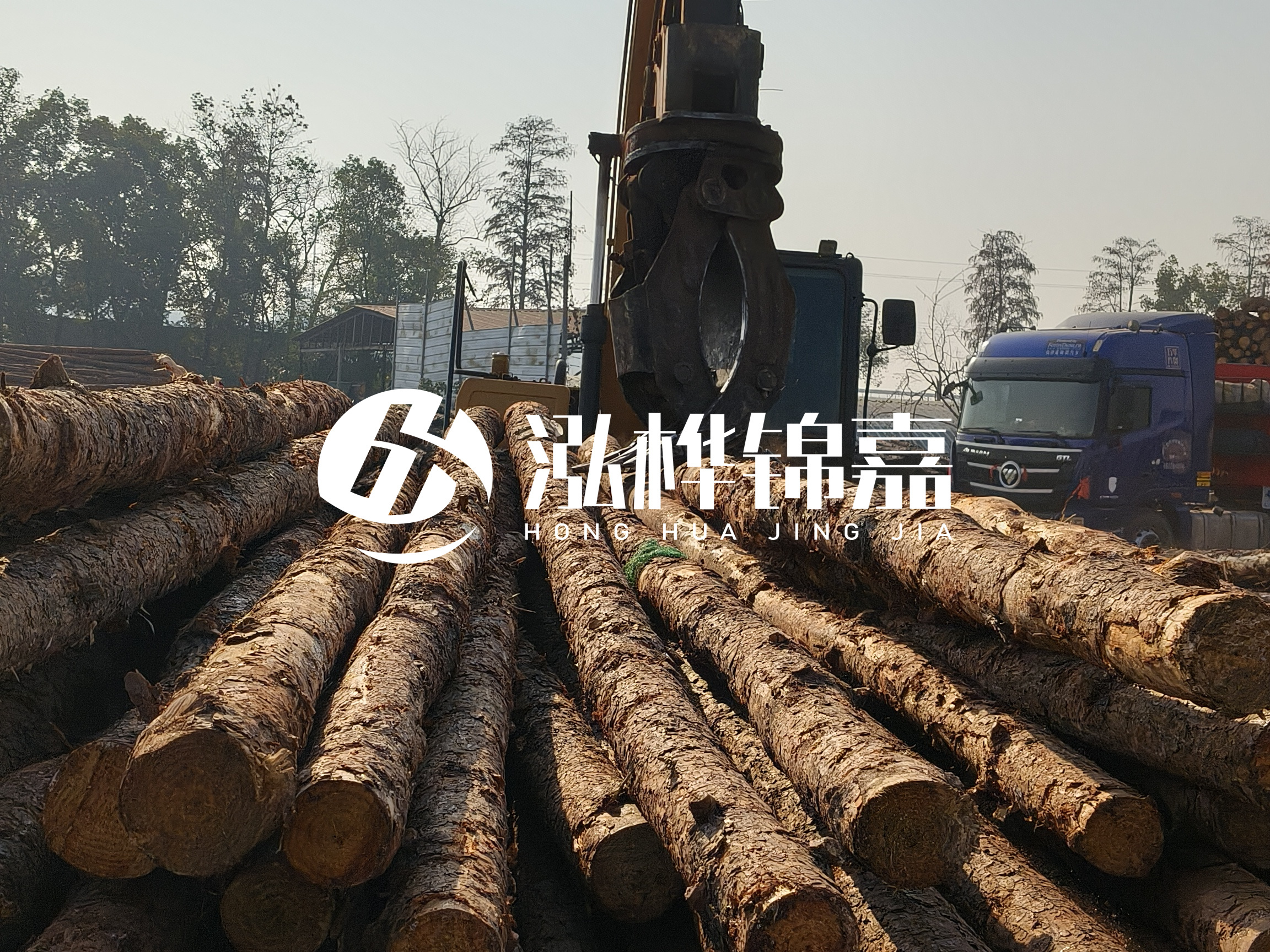 松木樁可以用來做什么？常用于哪些工程？