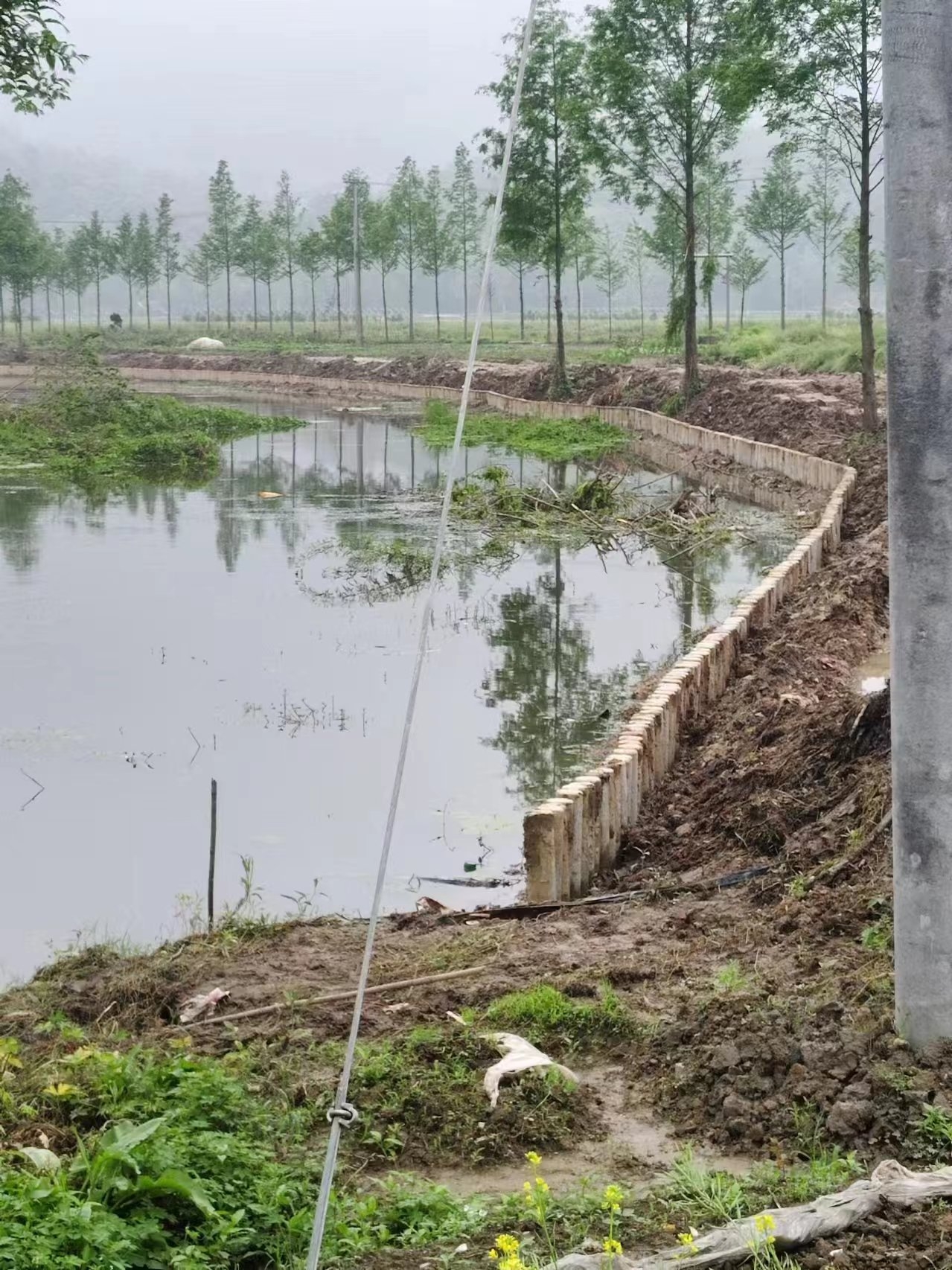 湖南水泥樁施工隊泓樺錦嘉-打水泥樁需要注意哪些事項？