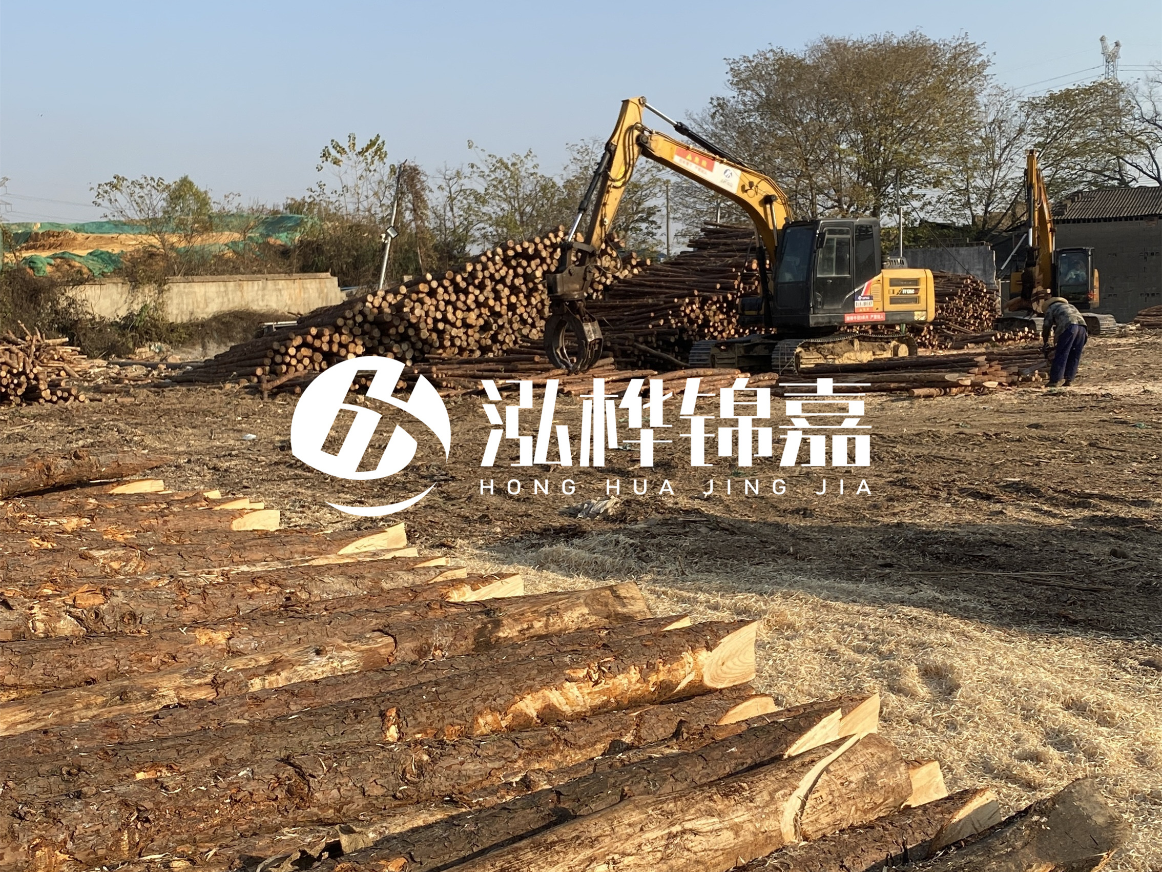 松木樁批發(fā)廠家泓樺錦嘉-松木樁廠家能開發(fā)票嗎？