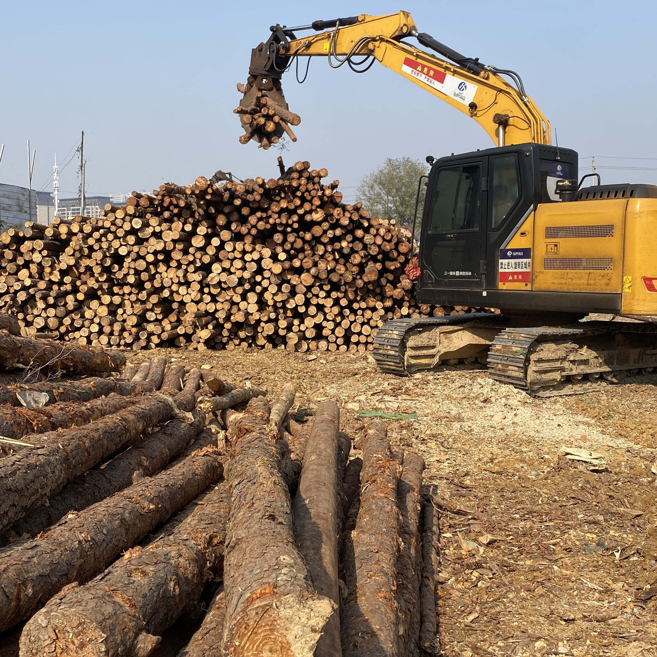 松木樁廠家泓樺錦嘉-濕地松原木的價(jià)格大概是多少？