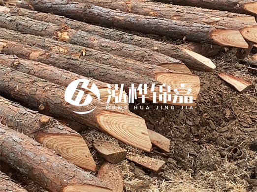 松木樁廠家泓樺錦嘉-河道兩邊打樁是干嘛的？