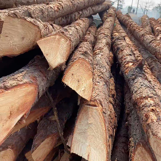 松木樁施工隊(duì)泓樺錦嘉 - 原木松木樁怎么辨別是否為實(shí)心？