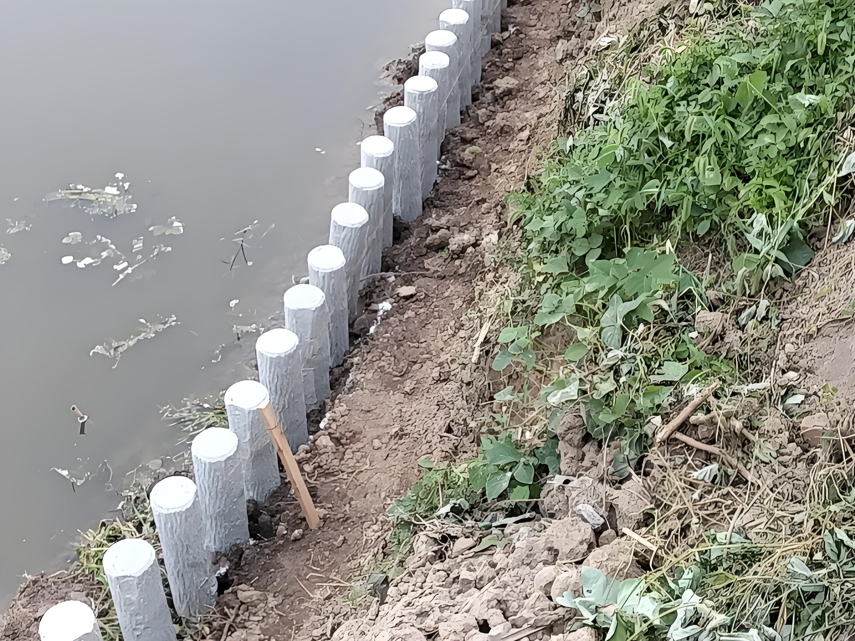 水泥仿木樁施工隊(duì)泓樺錦嘉-水泥仿木樁適合用于河道防護(hù)嗎？