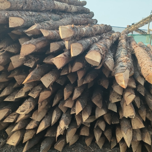 松木樁施工隊泓樺錦嘉 - 河道改造用什么規(guī)格的打樁木？