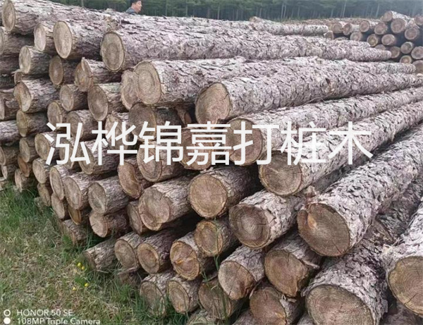 高效修補，保駕護航！水泥路面高強度修補料為您解決煩惱！