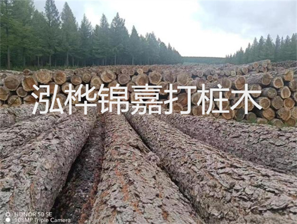 高效施工，圓松木樁助力建筑工程進(jìn)展順利