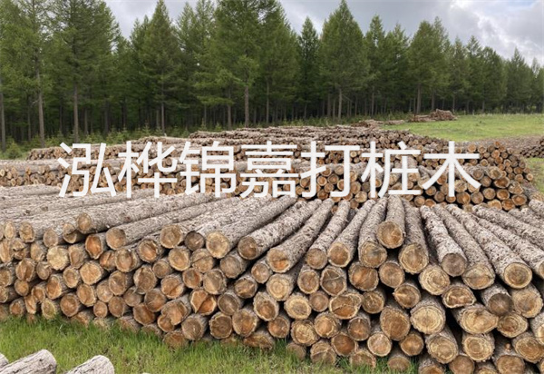 松木樁能施工嗎？探究視頻揭秘真相！