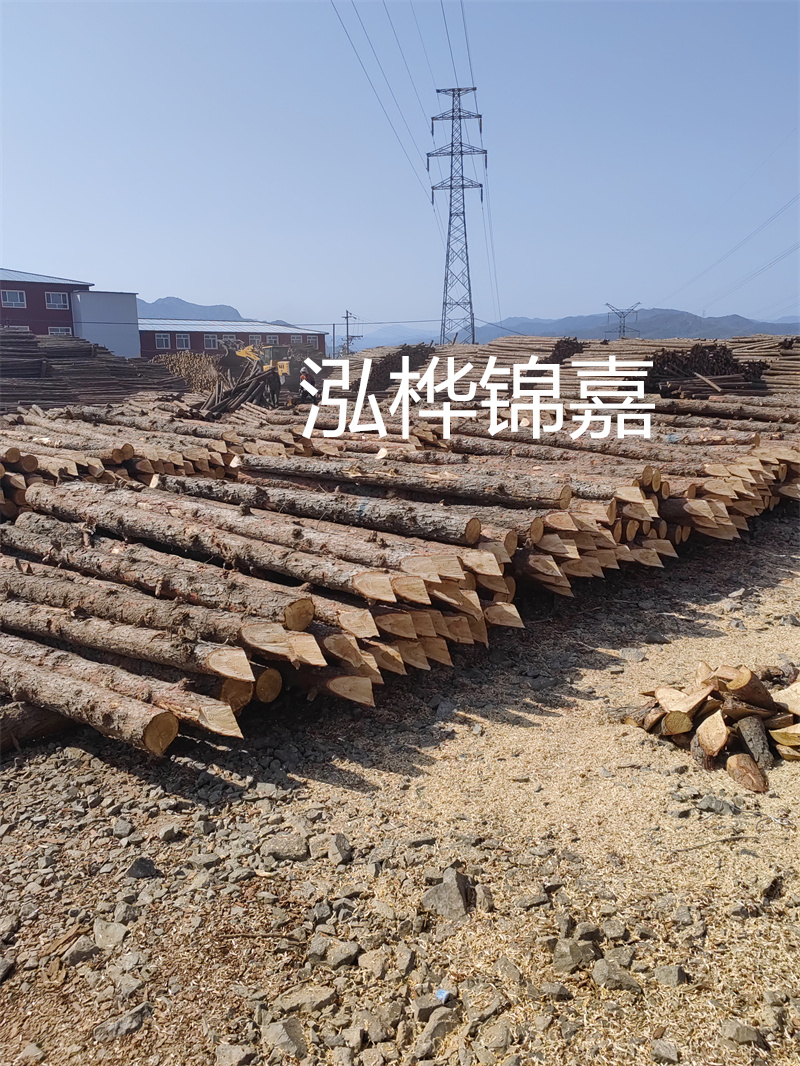 深入了解松木樁基礎施工單價，助力工程建設順利進行！