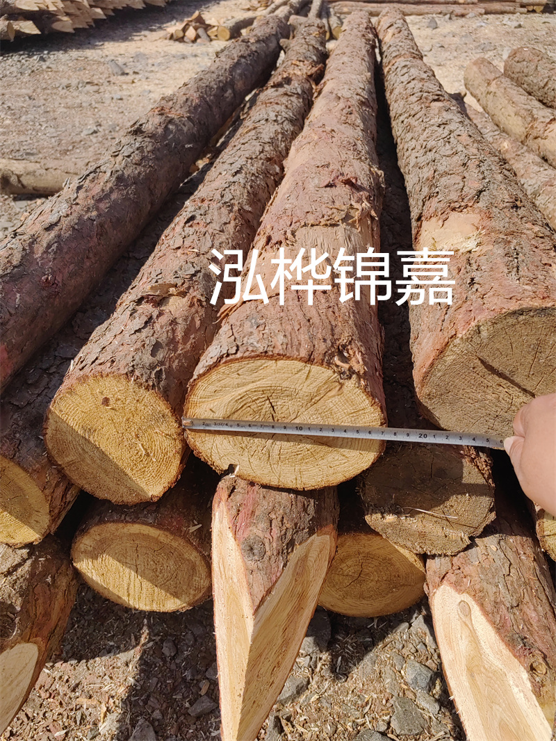 福建哪里買松木樁？