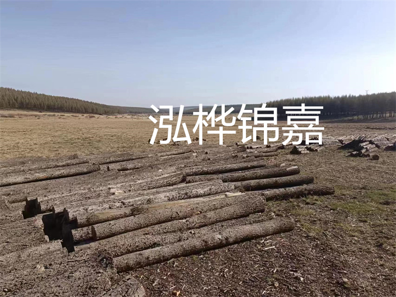 鄂州松木樁哪里好？推薦泓樺錦嘉松木樁業(yè)！